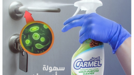 Carmel 316-portfolio