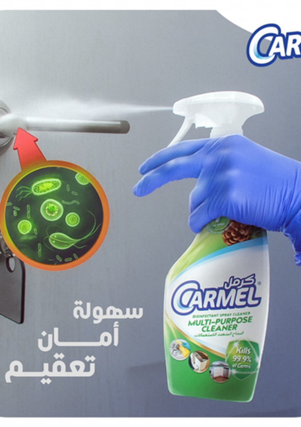 Carmel 316-portfolio