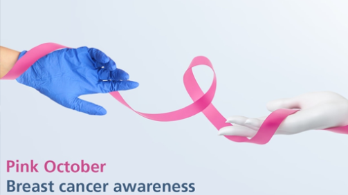 porfolio-4-portfolio